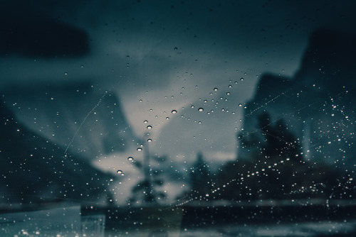 jasonincalifornia:Yosemite Rain Drops Instagram////Society6