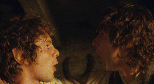 In the spring of 1484 a message came from Rohan to Buckland that King Eomer wished to see Master Hol
