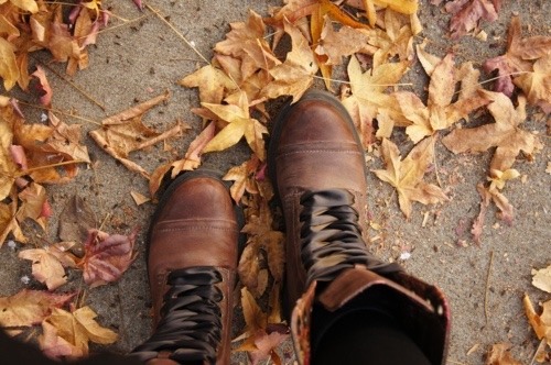 xxfallintowinterxx:  Autumn is Coming. 🍁
