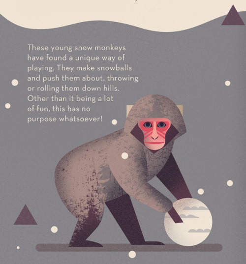 theolduvaigorge: Mad About Monkeys: A Loving Illustrated Encyclopedia of Weird and Wonderful Kindred