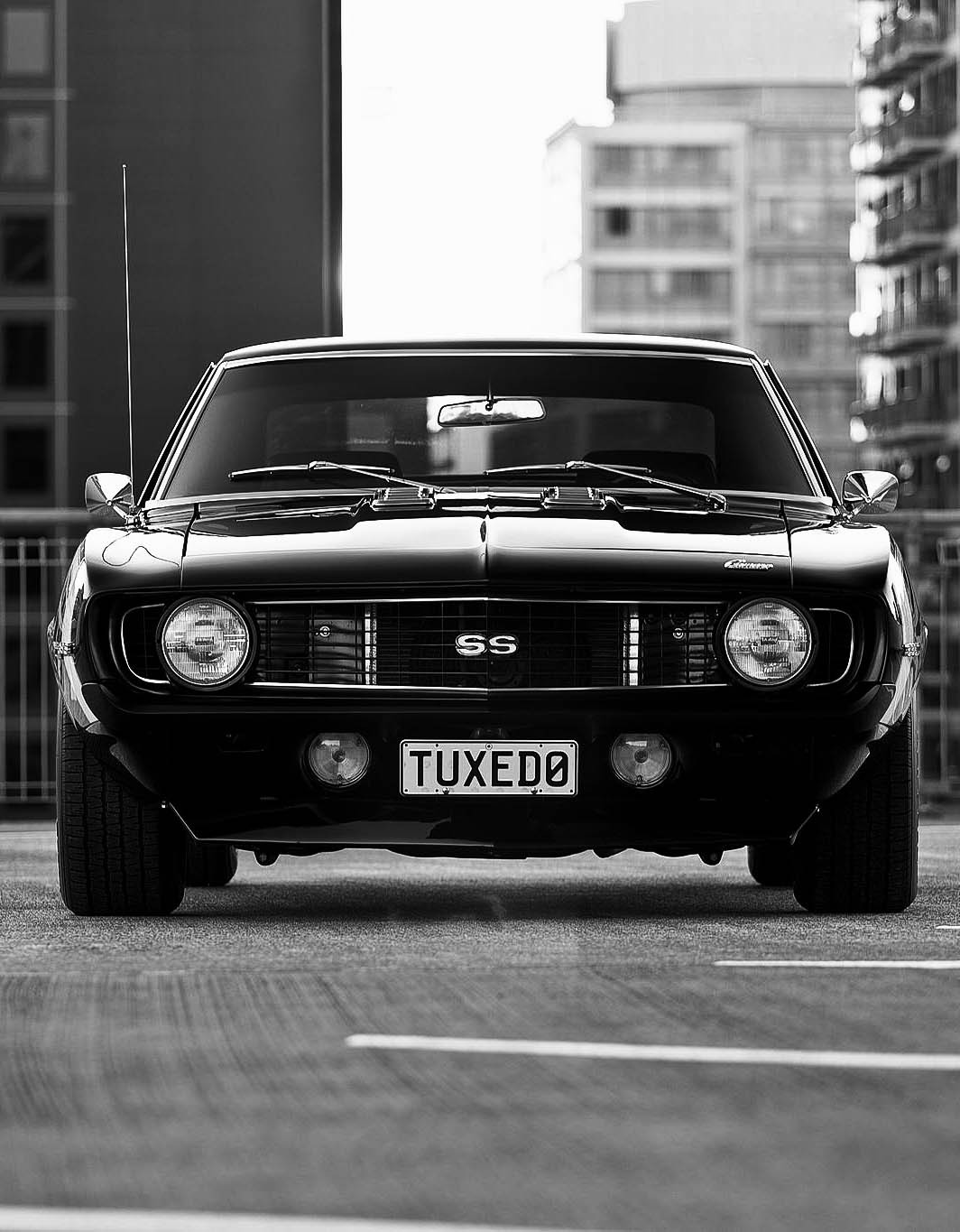 h-o-t-cars: Photo by Andrei Diomidov 