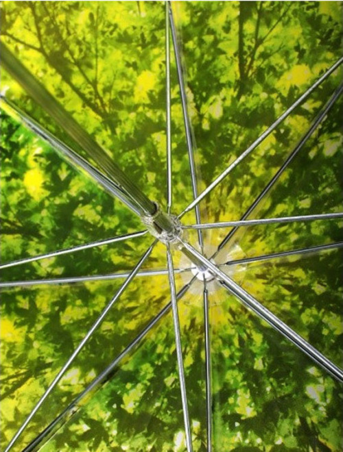 Take shelter from the rain under the beautiful foliage umbrella [x]