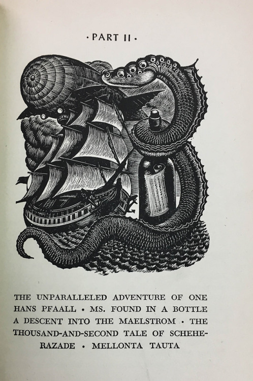 Edgar Allan Poe&rsquo;s works shed light on the darker side of life. Death, guilt, and revenge were 