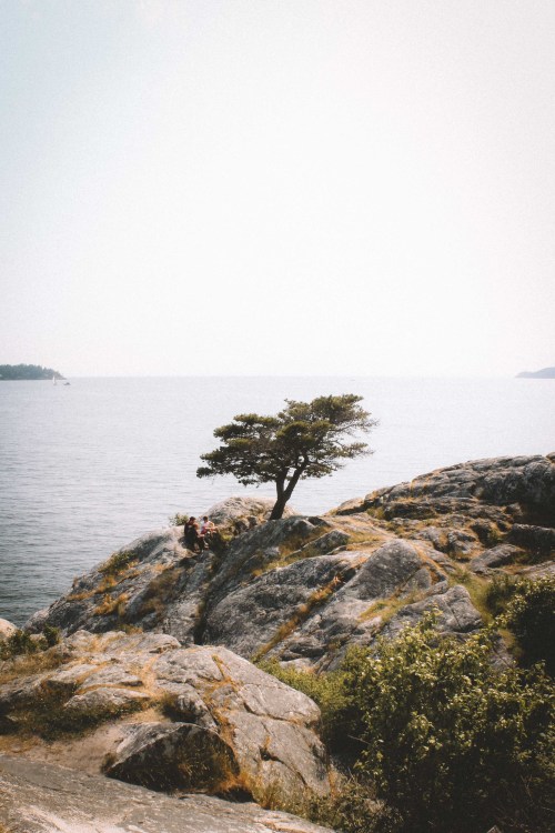 salboissettphoto:Ocean views at Whytecliff Park, Bc