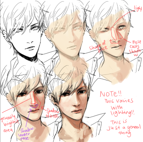 kelpls:UMM PEOPLE ASKED ABOUT NOSES AND EARS SO YEAH!!  please look up real references too don’t jus