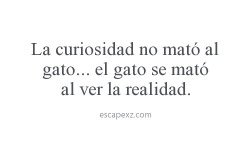 lizethtatiana:  La curiosidad no mató al gato.