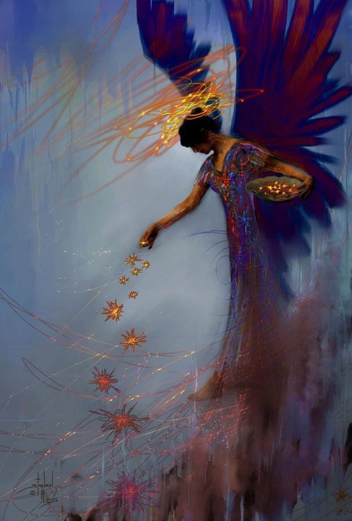 Stephen Lucas -Dancing The Lifes Web Star Gifter Does