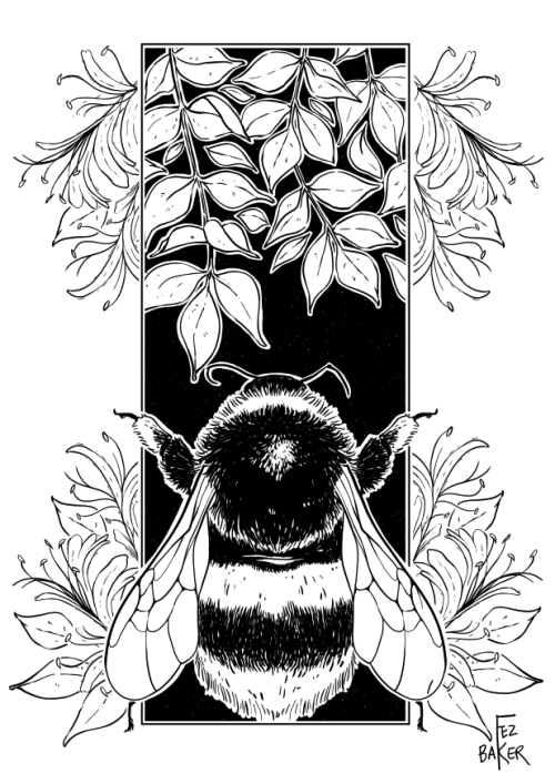 offateandfortune:The last bee illustration for a while! (At least, the last one for this book–