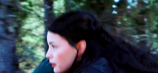 d37acfbded80c4348a5132d2a0e63c3344f93c83.gifv