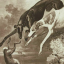 dinoii