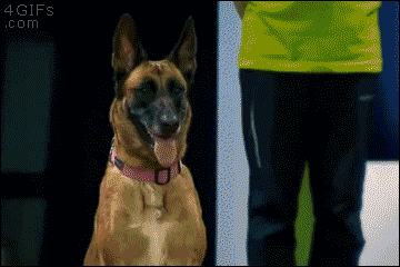 4gifs:  [video]