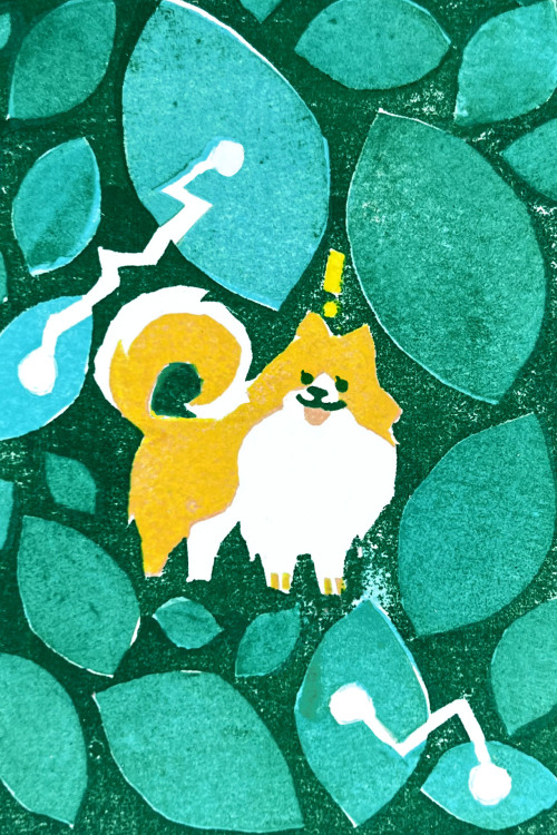 A Very Summery Doggust So Far.
