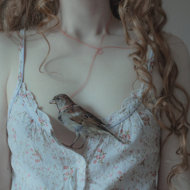 Lovers by laura makabresku 