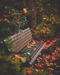 autumncozy:By hayleyhickman_