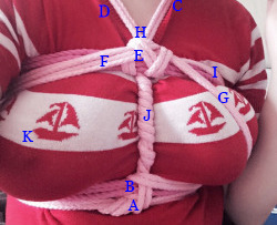 theropegeek:  shibari-bun:  theropegeek:  Dear @shibari-bun​, Here are some notes from our lesson last night.  1.  On a chest harness, ideal placement of the bottom wraps is across the sternum.  For a person with larger breasts, that means you’ll