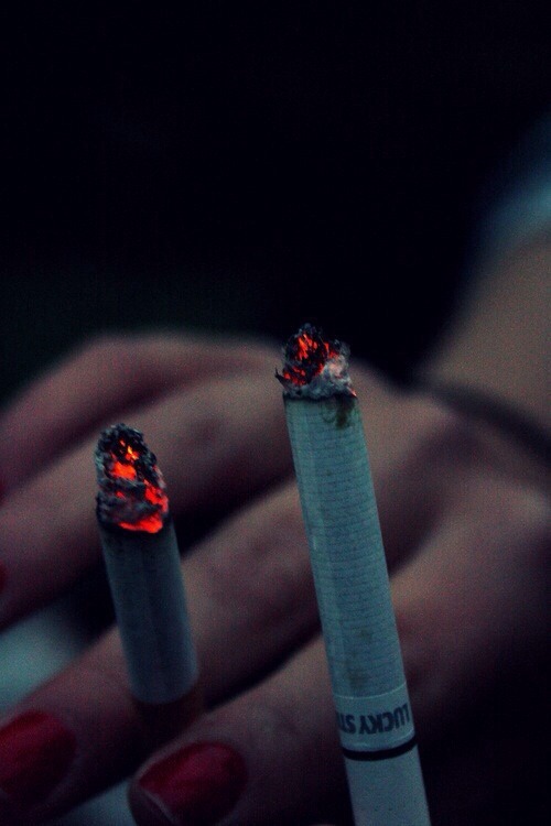 boobiesontoast:  Likes | Tumblr - https://weheartit.com/entry/137286175 