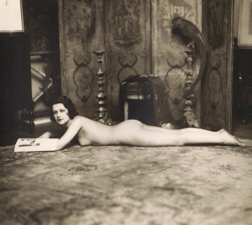 bibliophile-exhibitionism: wickedknickers: Just some light reading… Beautiful Bookworms Readi