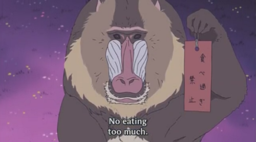 helloimalicia:blacksheepofficial:what animals wish forShirokuma Cafe is one of the most puny and who