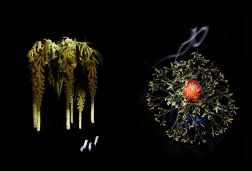 deadbeatroommate: from89:   Flower Work by Sarah Illenberger and Sabrina Rynas  You Can Also Fi