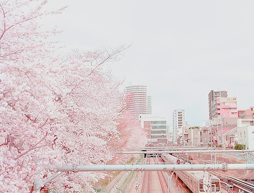 doriimer:  img025 by nijitaro 