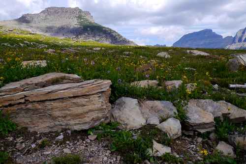 90377:  Glacier National Park: Hidden Lake by Ang