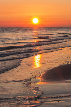 Sundxwn:  Sunset By Ellen Melisse