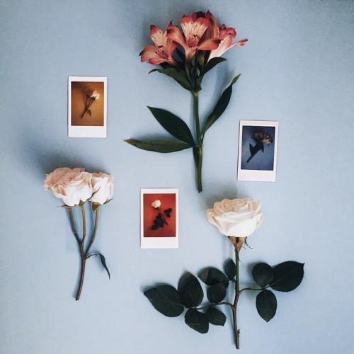floralls:by Tana Gandhi