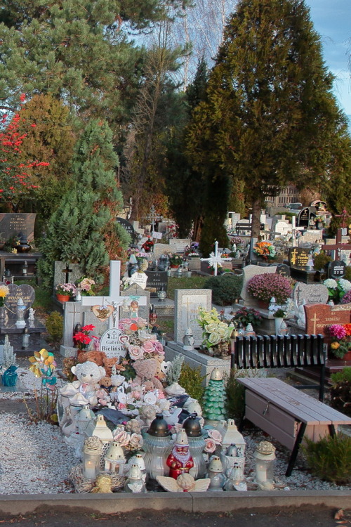 yoda-ii: The small, parish cemetery at the outskirts of  Wrocław (Brochowska Street)11