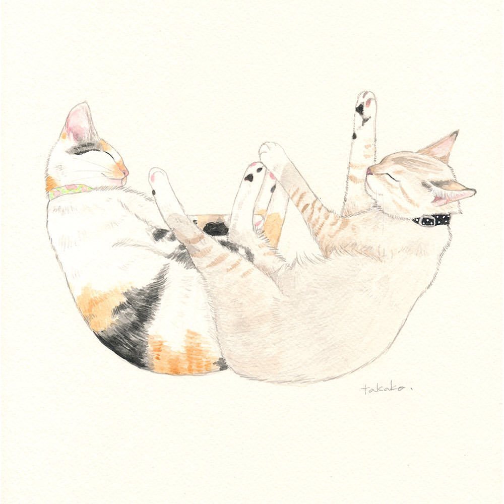Takako Ide Illustration Takako Ide Illustration