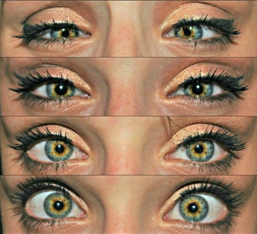 pupils