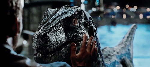 rattleyourcage:  Me.