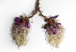 culturenlifestyle: Anatomical Sculptures Composed From Delicately Arranged Flowers by Camila Carlow Guatemalan artist Camila Carlow completed a stunning and delicate flower sculpture series titled Eye Heart Spleen, which is composed of 13 images,