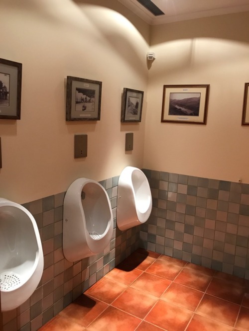 We visited these porto caves in Porto and I just had to see there urinals. Clean mensroom with pictu