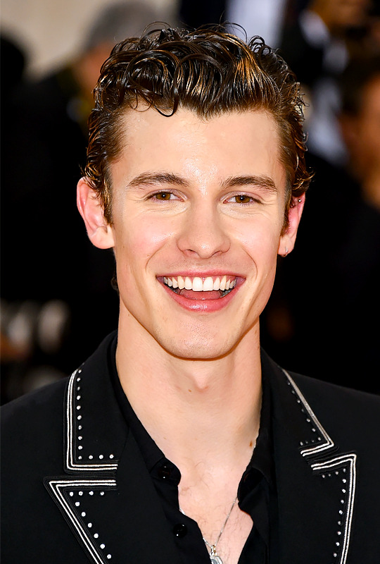 The Daily Shawn Mendes — Shawn Mendes at the 2019 Met Gala in New York