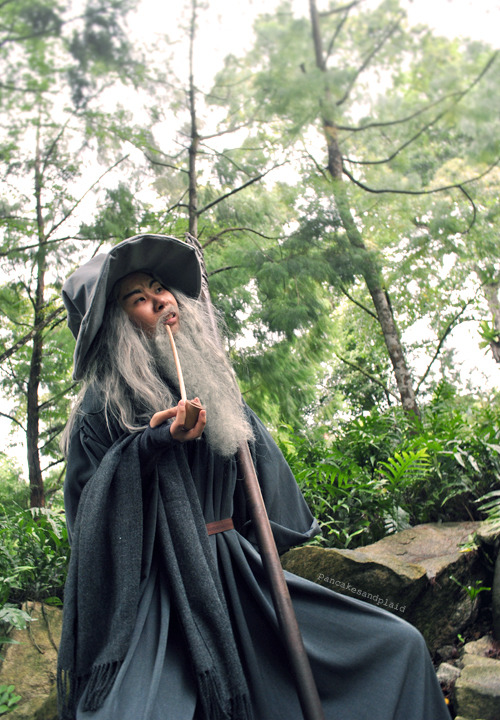 milodrums: pancakesprince:   Gandalf - milodrums  In the end I used your camera to take most of the 