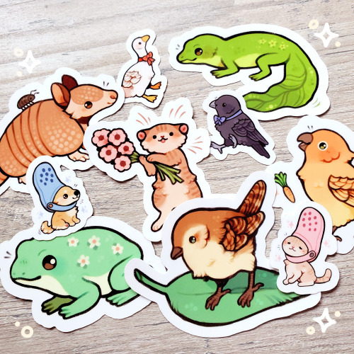 lots of new stickers and memo pads are now in my shop!