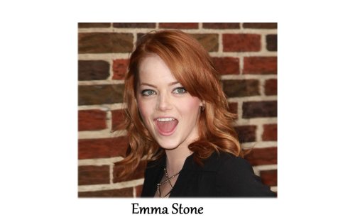 Emma Stone fake
