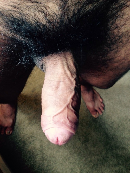cheesymen: Day 4 . I am curious how much cheese is underneath by now. I love u