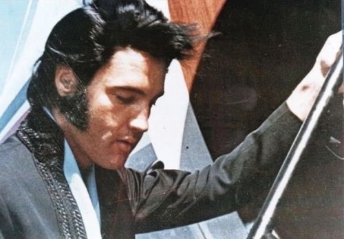  Dilf Vibes Elvis 𐙚˙⋆.˚ ᡣ𐭩