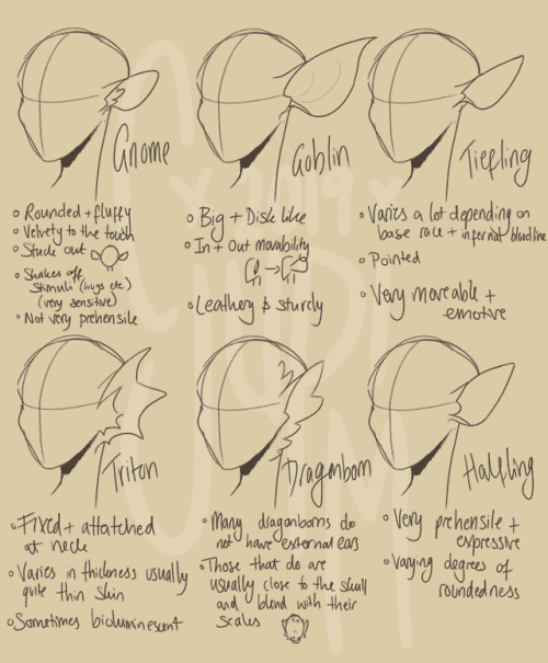 fuckyeahdnd: jupitisms: Have some quick DnD ear lore!! Most of them look weird on that bust with on