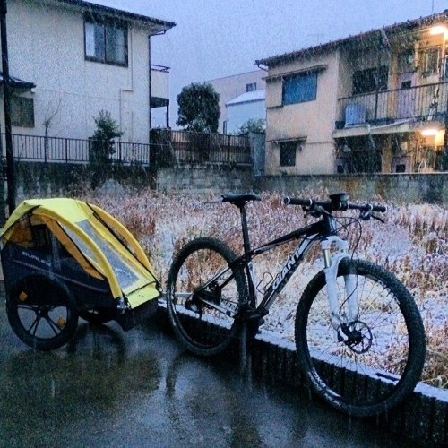 occi-yuki:  先週に引き続き雪である。  名古屋にも年に1度や2度はドカ雪が降る日があり、往々にして雪に馴染みの無い土地の人にとっては中々の試練である。 歩くのにも四苦八苦し行き交う車もサマ