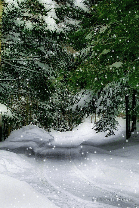 oldfarmhouse:  Merry 🌲 Christmas and Happy NewYear