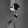 kafferasten:  Cross my heart I don’t want to dieBut heaven knows it seems like