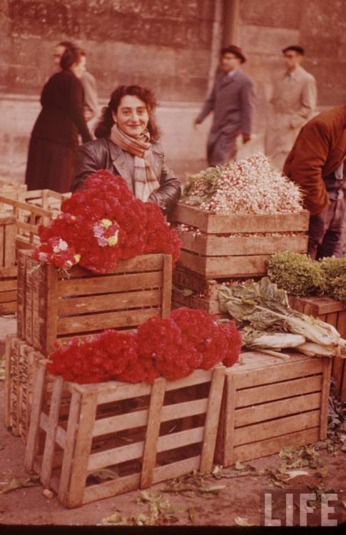 Les Halles des Paris(Thomas McAvoy. 1955?)