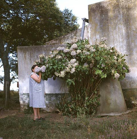 diamondsummer:  Alessandra Sanguinetti 