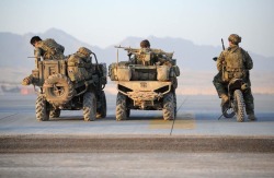 bubbalicious28:  SASR  Combat quads