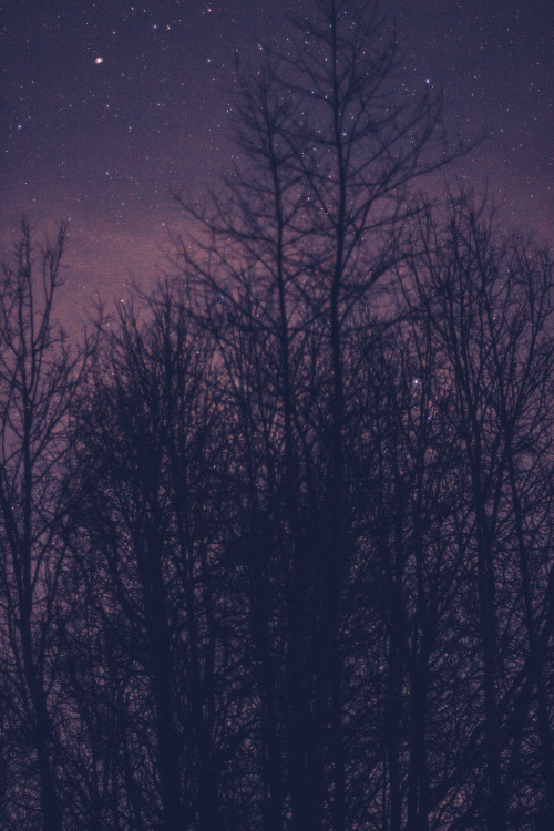 Scatter my wayward pieces across that cold, yawning winter sky // Part 26