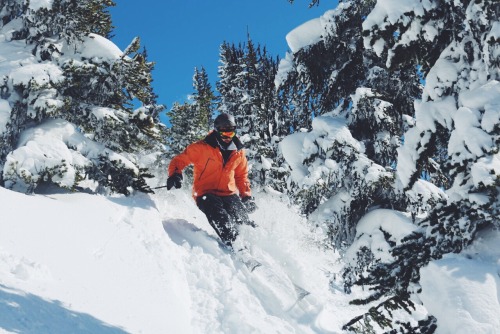 Only a few friends on a Powder day, Whistler, BC