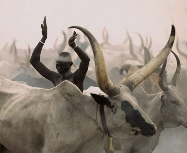 The Dinka People by  Carol Beckwith and Angela Fisher  