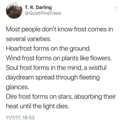 quietpinetrees:  “Most people don’t know frost comes in several varieties. Hoarfrost forms on the ground. Wind frost forms on plants like flowers. Soul frost forms in the mind, a wistful daydream spread through fleeting glances. Dire frost forms on